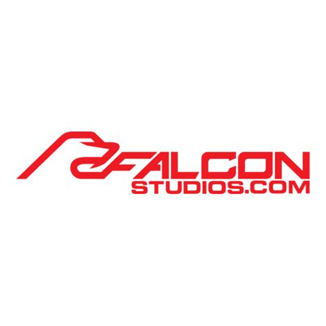 Falcon Entertainment