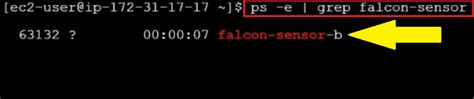 Falcon sensor version linux.  This Read the preliminary post incident report regarding the Crowd...