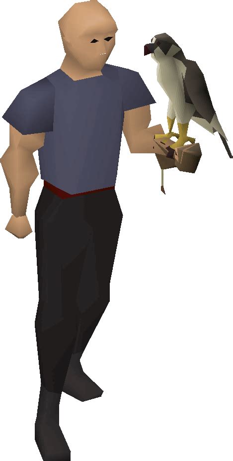 Falconry osrs. Things To Know About Falconry osrs. 