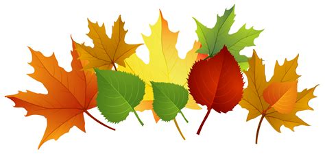 2024 Fall Clip Art Leaves: A Journey Through the Colors of Autumn-marketplaceplus.shop