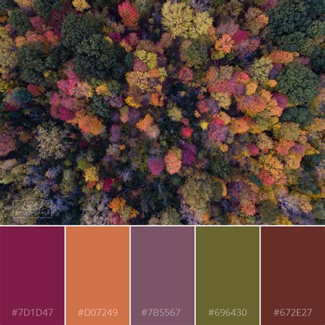 Fall Color Palette With Hex Codes