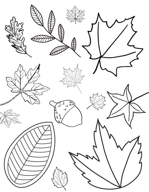Fall Leaf Coloring Shee