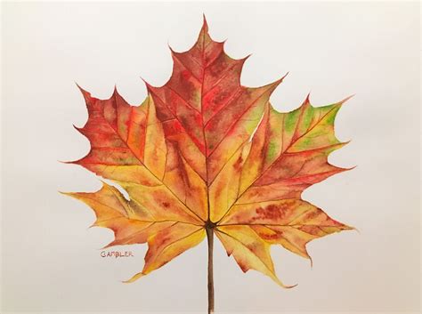 Fall Leaf Drawing Realistic