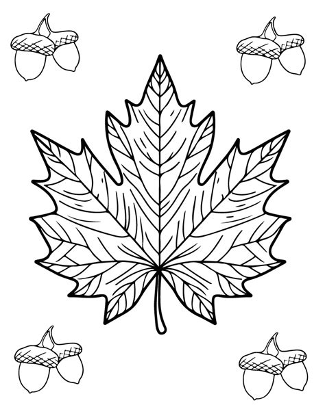 Fall Leaves Coloring Shee