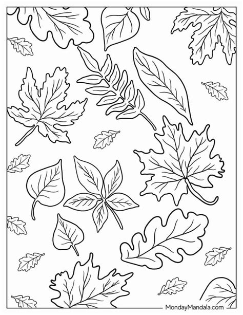 Free Coloring Sheets Hello Kitty