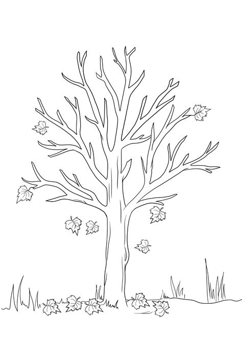 Fall Tree Coloring