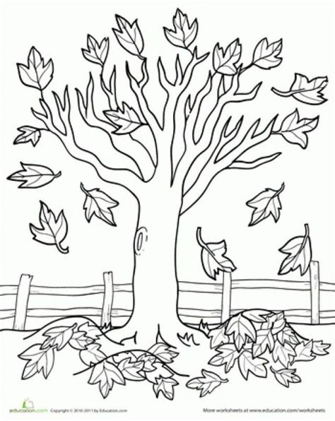 Fall Tree Coloring Shee