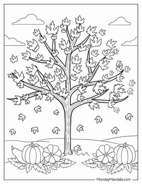 Fall Trees Coloring Pages