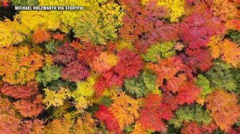 Fall foliage expert discusses expectations for 2023 fall season