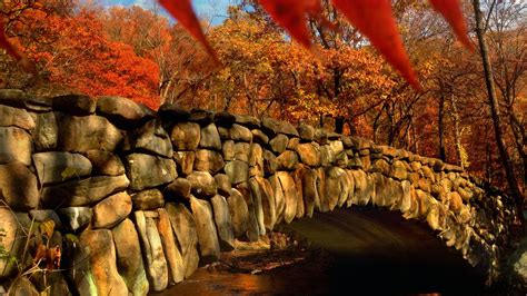 Fall hikes foliage and apple picking in D C Washington D C 