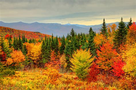 Fall in new jersey. An end of October warmup is on the way as New Jersey will see temperatures near 80 toward the end of the week. FALL FOLIAGE: Where to see it around the tri-state and 7 tips for leaf peepers. News ... 