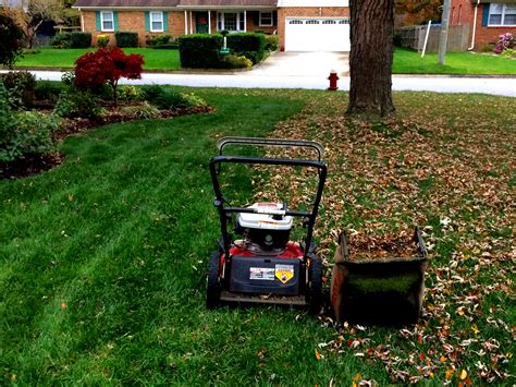 Fall lawn care. Source: Bill Smith (CC BY 2.0) 2. Fertilize. Mulch the grass as you mow the lawn. The grass clippings act as an organic fertilizer by applying the required nutrients to your grass while they decompose. In the fall, fertilizing your lawn will help protect it and keep it healthy when the cool weather rolls in. 