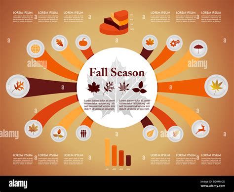 Fall season infographic illustration template. Autumn concept with