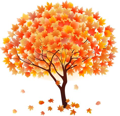 Fall tree clipart. Free download transparent .PNG