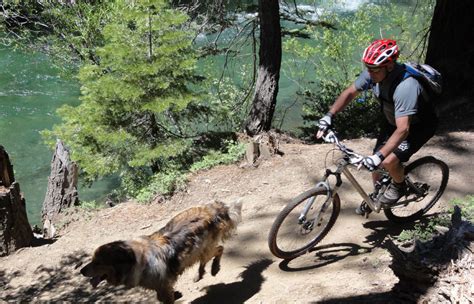 Fallen Leaf Lake Mountain Bike Trail Out & Back - Bike …