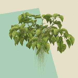 Falling leaves c4d.  Explore 300+ free plants 3D models built for tutorials, prototy...