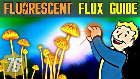 Fallout 76 pure fluorescent flux. High-radiation fluids is a consumable item in Fallout 76. A quantum of highly irradiated fluids of no discernible origin, commonly found in glowing creatures. The fluids are a potent healing item at the cost of irradiation and are used to stabilize flux flora. Rare drop from glowing creatures. Random drop from organic creatures killed in a nuked zone. 