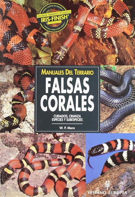 Falsas corales/ milk snakes (manuales del terrario/ terrarium guides). - Miguel najdorf - el hijo de caissa.
