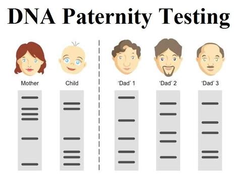 Family Court Dna Paternity Testing