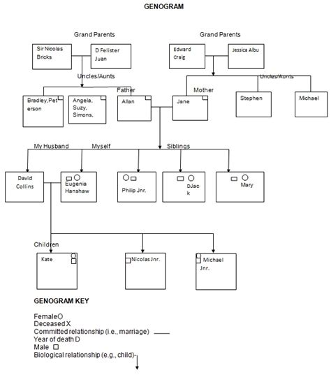 Family Genogram, Essay Example essays.io