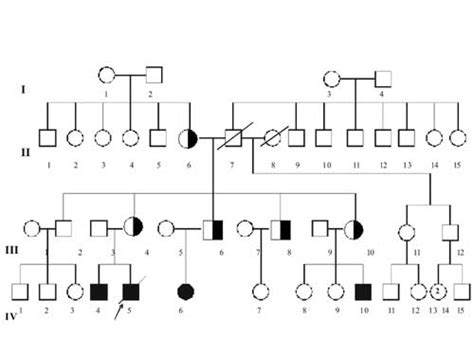 Family Pedigree Cleft Chin? - CIBL