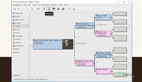Family Tree Builder 8.0.0.8642 instal