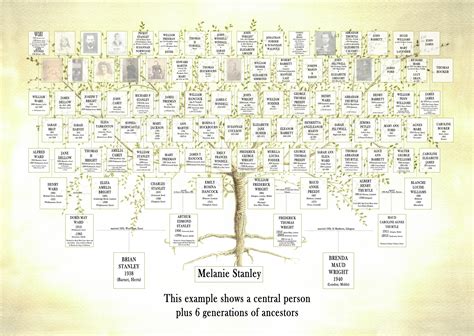 Family Tree Genealogical Chart