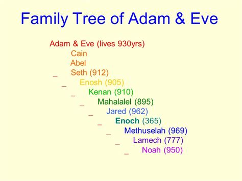 Family Tree Of Adam