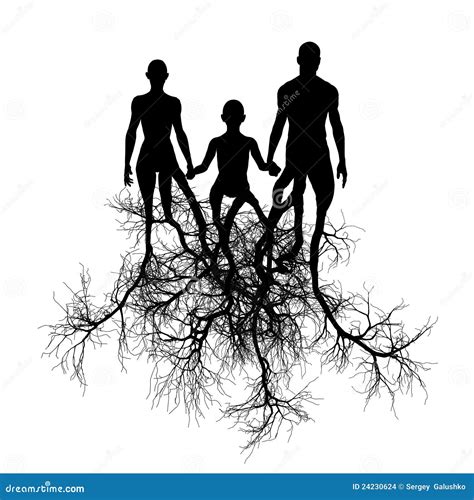 Family Tree Roots Pictures, Images and Stock Photos