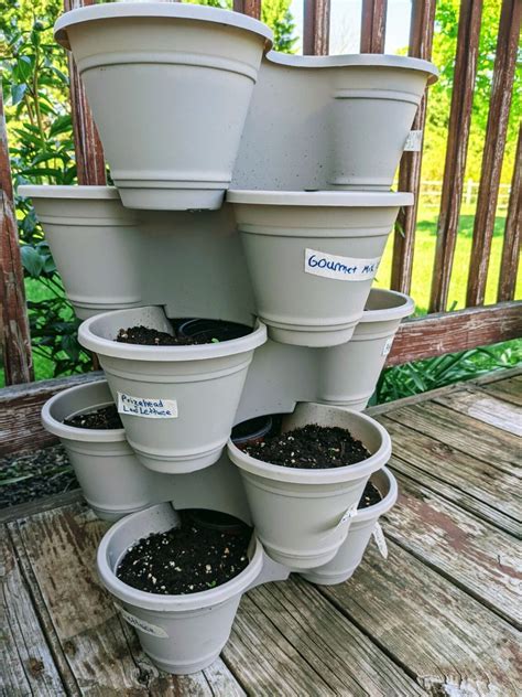 Using a stackable planter, I have a very cheap way to get into gardening in your backyard. I will be using the little planters I got from Dollar Tree. Each of these planters was $1.25. When I ordered on the website, I had to get a case of 36 of them, so I'm able to create a robust garden using Dollar Tree stackable planters.