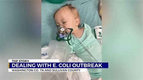 Family faces multiple E. coli infections after kindergartner's Tennessee field trip