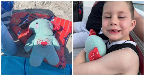 Family loses toy elephant with son's ashes during Disney World vacation