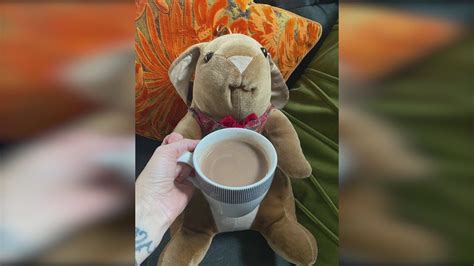 Family seeks help in finding family heirloom stuffed animal