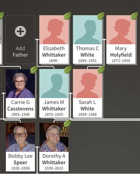 Family tree Ronny Van Walleghem - Geneanet