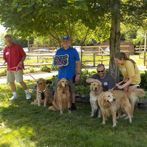 Aug 24, 2021 · When coming to pick up a pup, you may have the lucky chance to meet some of the friends of Famn Damily Farm, Phil and Kathy! #6 Kp Golden Retrievers. KP Golden Retrievers is a member of Golden Retriever Club of America, United Kennel Club and Cascade Hunting Retriever Club. Mother daughter duo Debbie and Kim love spending time with their dogs ... . 