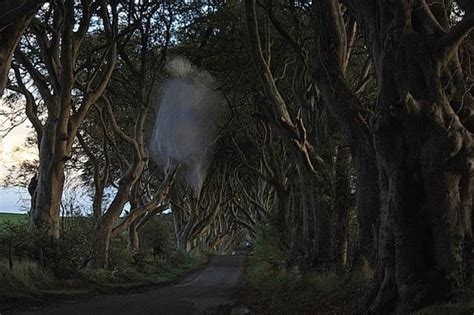 Famous Grey Lady ghost at “Game of Thrones” Dark Hedges