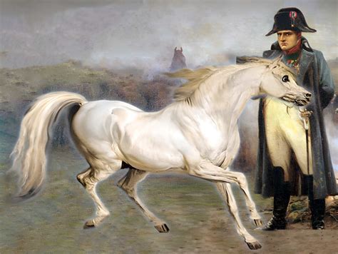 Famous War Horse Of Napoleon I, Named After Battle - CodyCross