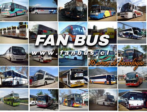 Fan Bus Le Onlyfans Leak