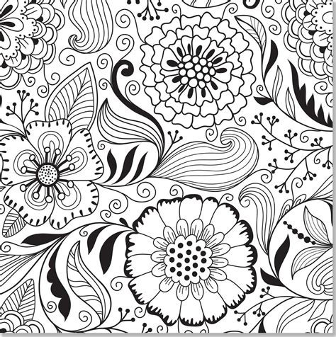 Amazon Anatomy Coloring Book