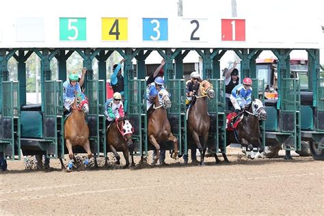 Fanduel horse racing. Apr 12, 2023 ... Opening day at the track, the former Fairmount Park, coincides with the return of Horse Hooky Tuesday on April 18. Post time is at 1 p.m.. 