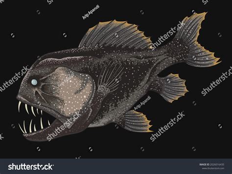 Fang Tooth Fish Pictures, Images and Stock Photos