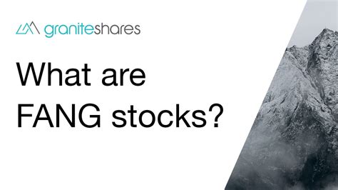 Fang stocks meaning. Things To Know About Fang stocks meaning. 