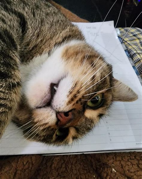 🔥 [CLIP] Fangie Leaked