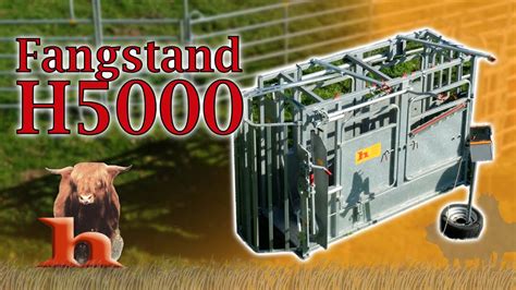 Fangstand / Behandlungsstand H5000 Rinder - Highland Stall