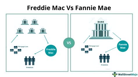 Fannie Mae vs. Freddie Mac: What’s the Difference? - MoneyTips