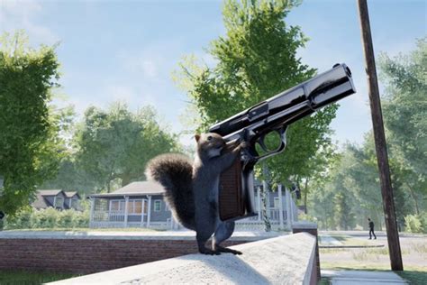 Fans react to QuiteDan developing a game with armed squirrel as protagonist