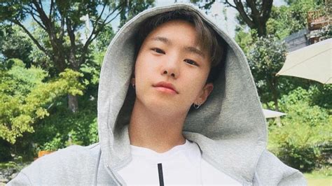 Fans react to SEVENTEEN s Hoshi dealing with sasaengs in a unique way 