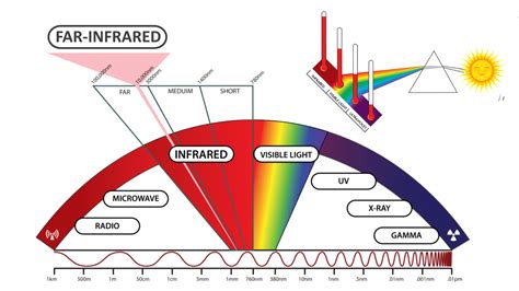 Far-red Definition & Meaning - Merriam-Webster