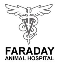 Faraday Animal Hospital - Veterinarian - Bancroft, ON - VerView