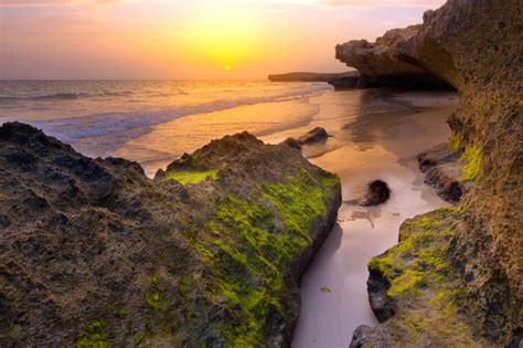 Farasan Islands: How to Visit Saudi Arabia’s Island Paradise